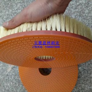 劍麻圓盤刷